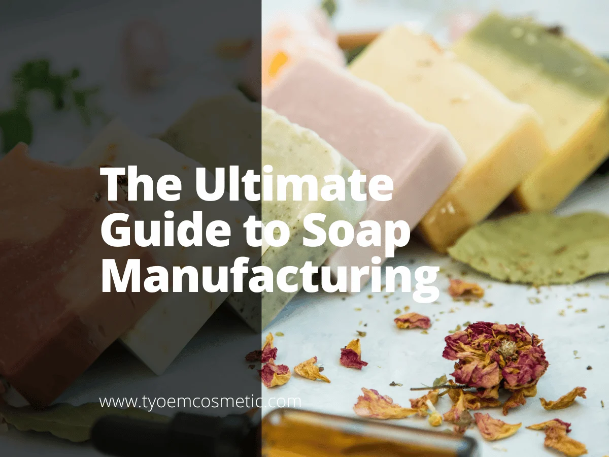 Apakah Sulcata Perlu Dimandikan dengan Sabun? Panduan Praktis untuk Pemilik