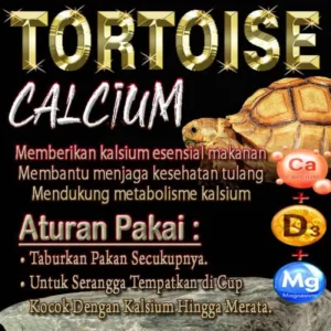 Bahaya Kelebihan Vitamin D3 pada Kura Kura Sulcata