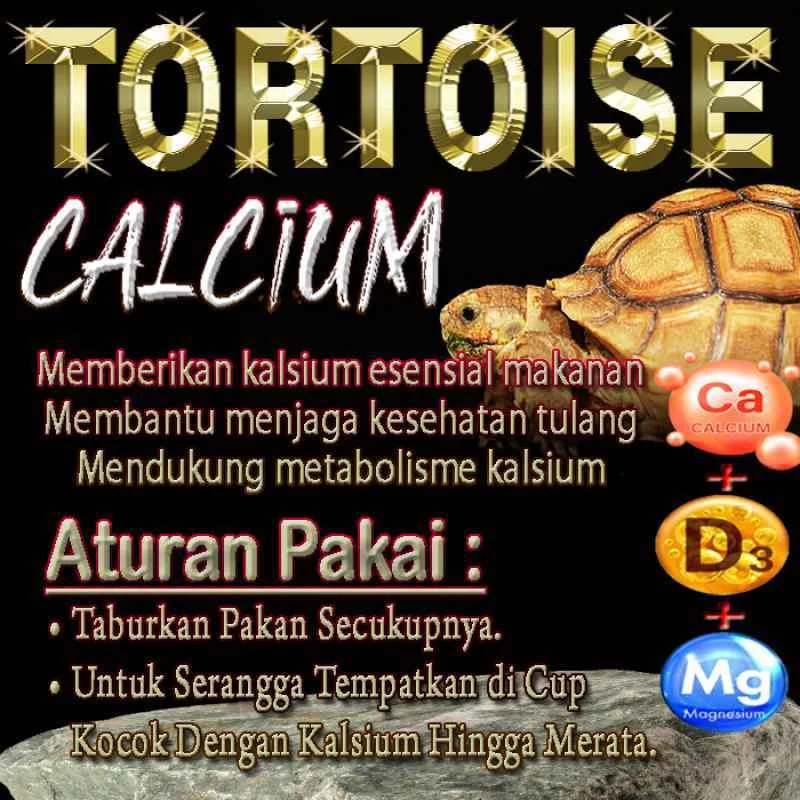 Bahaya Kelebihan Vitamin D3 pada Kura Kura Sulcata
