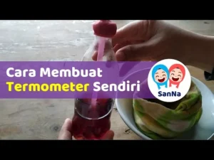 Cara Memasang Termometer di Kandang Sulcata – Panduan Lengkap