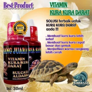 Manfaat Vitamin Tambahan untuk Kura Kura Sulcata: Panduan Lengkap dan Praktis
