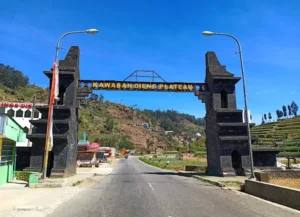 Penginapan Ramah Keluarga di Dieng: Kriteria dan Pilihan Terbaik