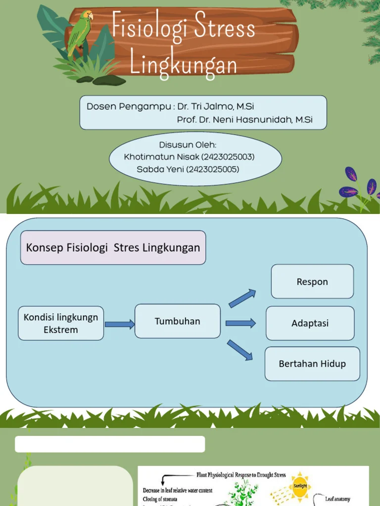 Stres Lingkungan: Faktor Tak Terduga yang Menyebabkan Kotoran Sulcata Berair atau Diare