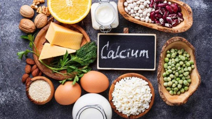 Cara Memenuhi Kebutuhan Kalsium Sulcata