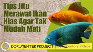 cara merawat burayak ikan hias agar tidak cepat mati