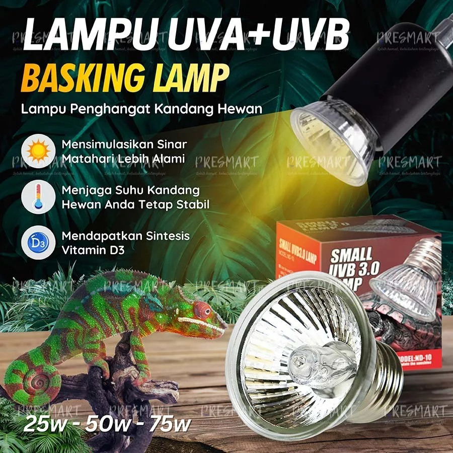 Durasi Pemakaian Lampu UVB untuk Sulcata: Panduan Lengkap
