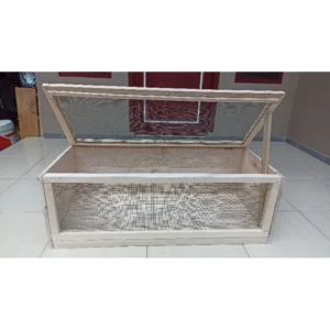 Ukuran Kandang Ideal untuk Sulcata Dewasa