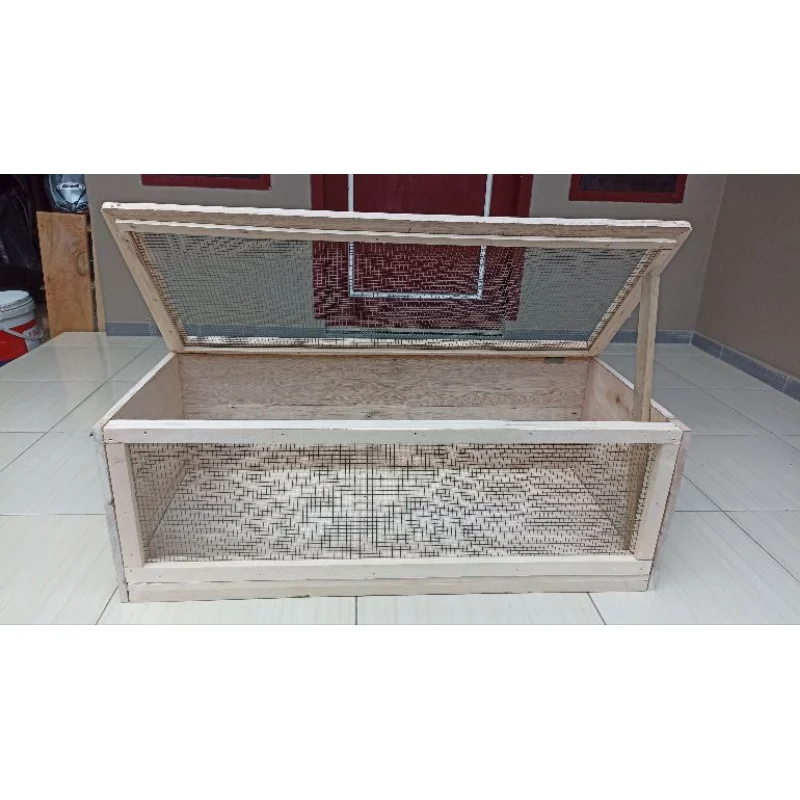 Ukuran Kandang Ideal untuk Sulcata Dewasa